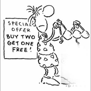 Entire closet buy 2 get 1 FREE